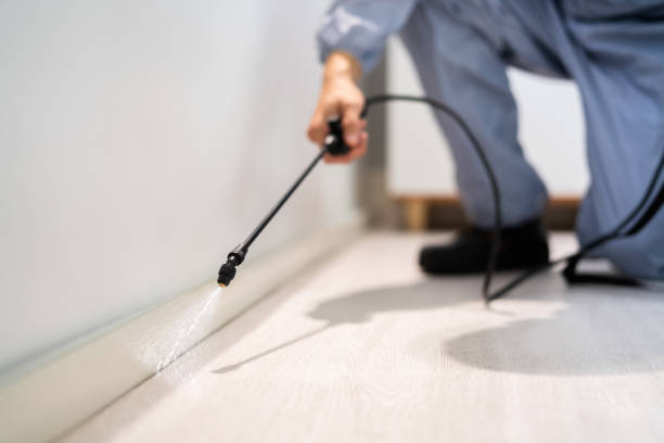 Licensed Cockroach Control service in Cashion, OK - Nex Pest Control