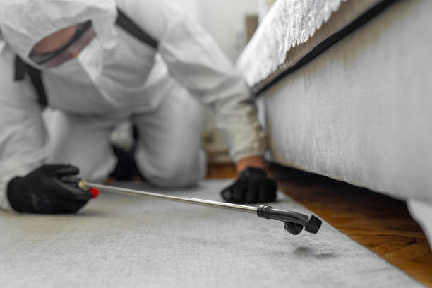 Professional Cockroach Control technician working in Cashion, OK