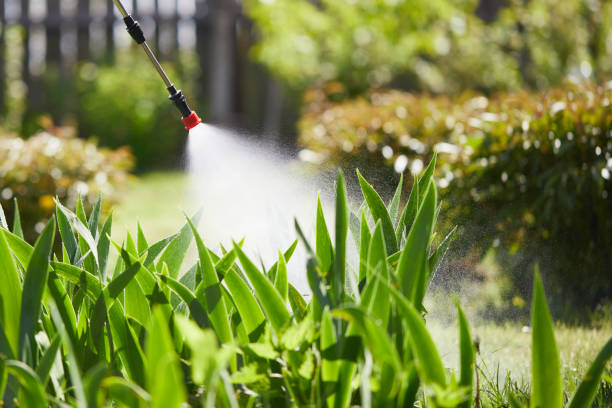 24/7 Emergency Cockroach Control experts in Cashion, OK