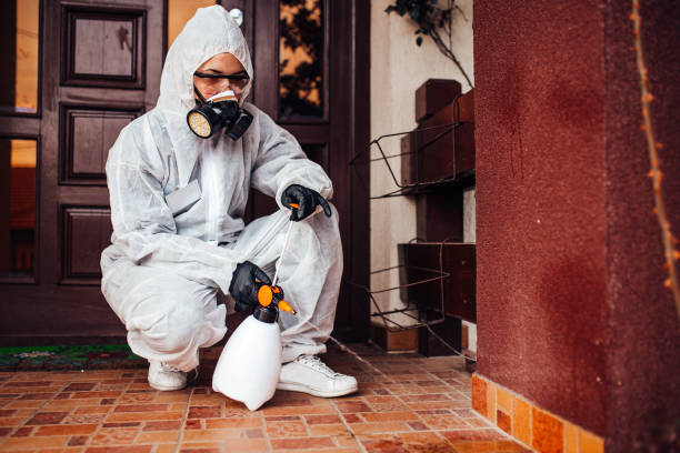 Reliable Cockroach Control contractor in Cashion, OK by Nex Pest Control