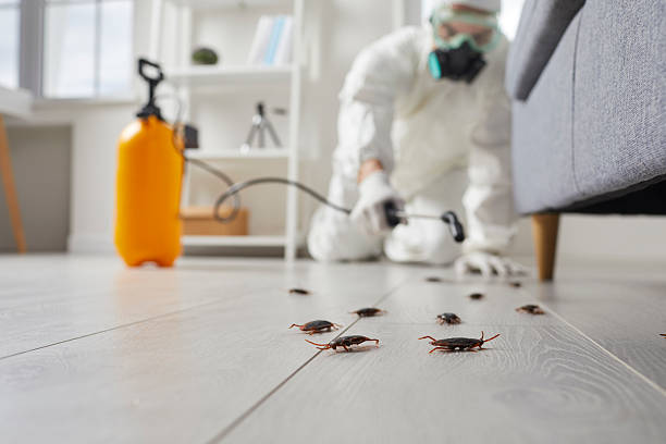 Trusted Cockroach Control service in Cashion, OK - Nex Pest Control